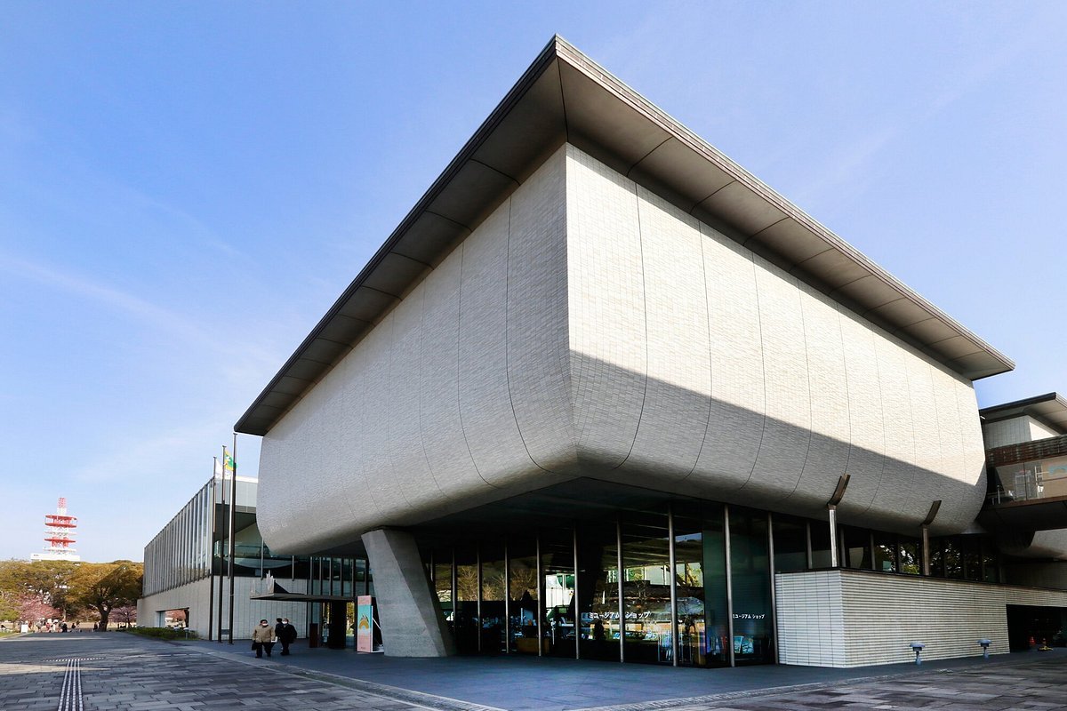 🏛️ 에히메 대학 박물관 (에히메 다이가쿠 뮤지아무) 이미지 4